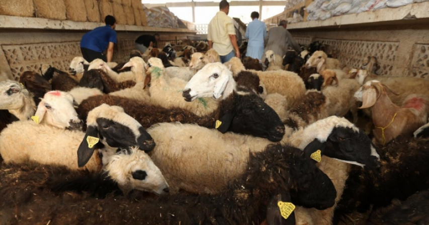 Eid Al Adha