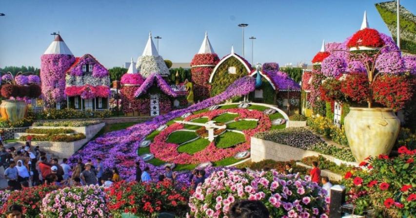 dubai miracle garden opens september 28.
