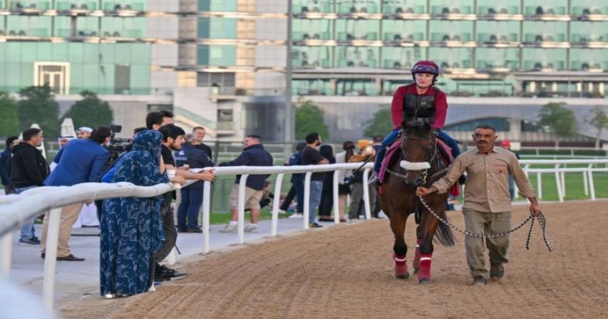 why-dubai-has-become-a-favourite-training-ground-for-international-horses
