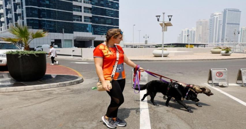 abu-dhabi-residents-told-to-register-pets-under-new-service-set-to-launch-on-february-3
