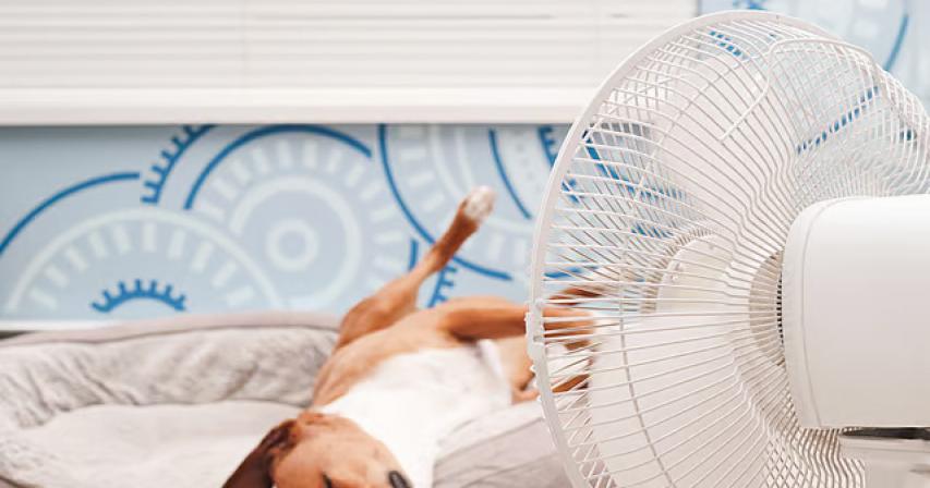 5-best-fans-to-keep-you-cool- in-uae-summer-2025
