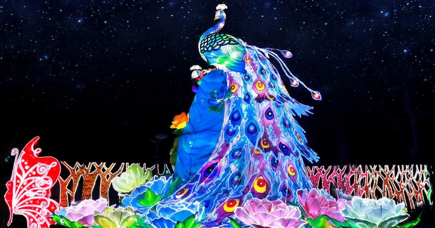 dubai-garden-glow-closes-after-10-years-to-reopen-at-new-location
