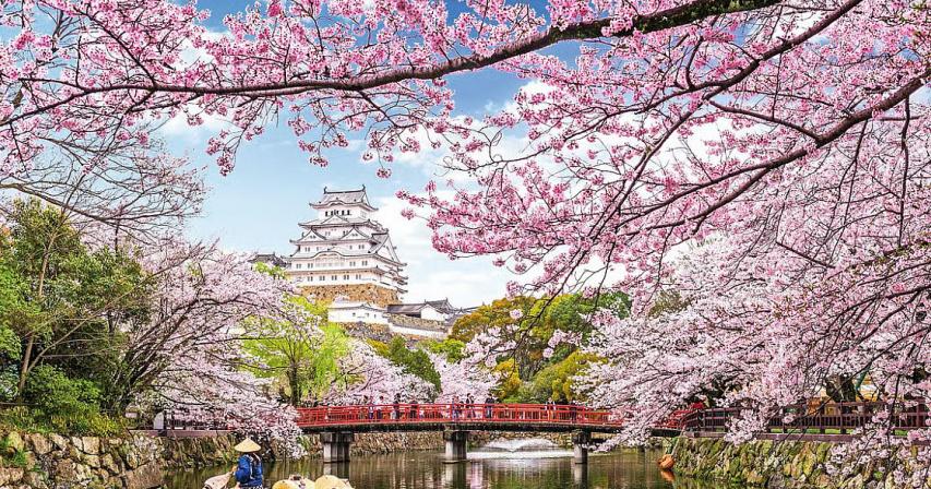 uae-citizens-in-japan-can-extend-visa-free-stay-to-90-days-from-july-1

