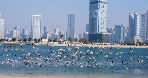 UAE: Does winter this year feel warmer, less rainy? Here's