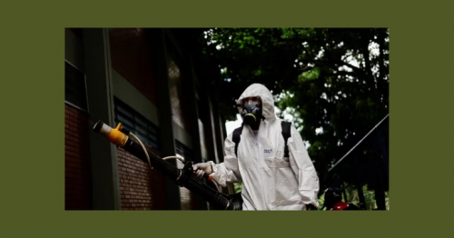 Brazil's Dengue Outbreak: Tourist Season Concerns