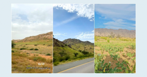 Rains turn UAE mountains, desert green amid weather alert