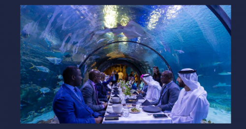 Underwater iftar in Abu Dhabi features 'extremely rare' sea