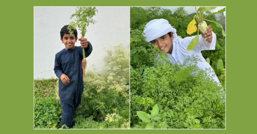 This 9-year-old farmer is turning the desert green; growing