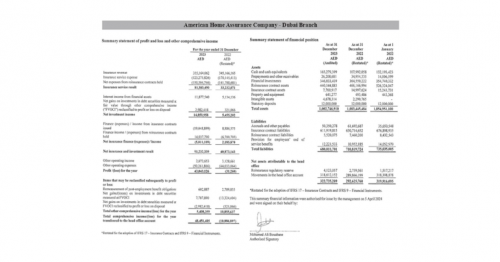 American Home Assurance Company Financial Statement