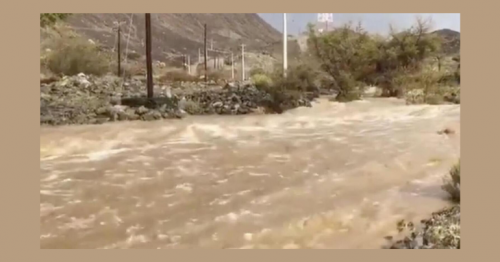 UAE citizen dies after being swept away by flooded wadi