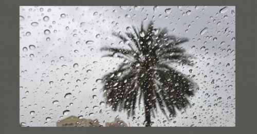 UAE weather: More rain expected next week