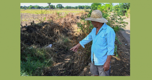Filipino farmers struggle as drought and heatwave hits