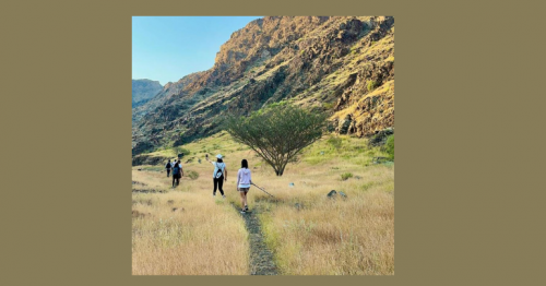Green Oasis: Exploring the UAE's Desert Transformation