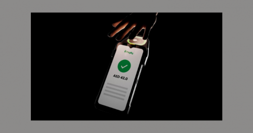 Say Goodbye to Card Payments: Palm Pay Revolutionizes