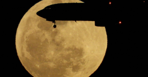 Residents in for a magnificent celestial 'bloom' on May 22