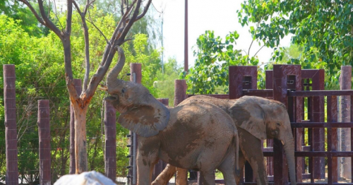 3 major family attractions closing for summer 2024