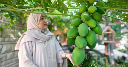Dubai resident transforms home into oasis