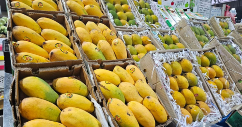 UAE local markets flooded with Indian, Pakistani mangoes