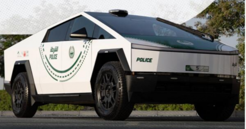 Dubai: Want a selfie with the 'beast'? Here's your chance