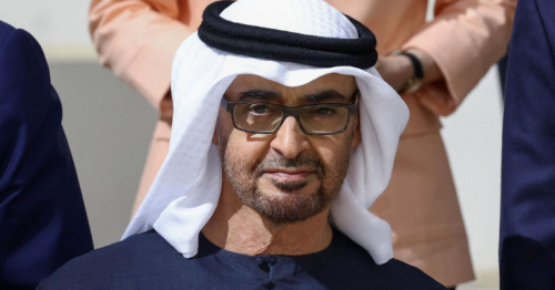 Rare photo of UAE President captures childhood memory with
