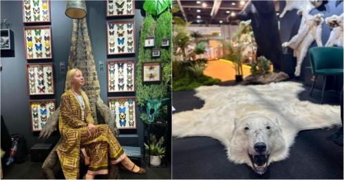 UAE: Nile crocodile throne, stuffed bears, two-headed goats