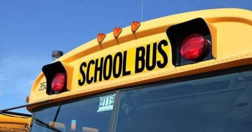 School bus fees in UAE: Is Dh25 a day worth compromising