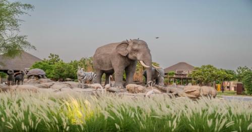 Dubai Safari extends park timings for night safaris for a