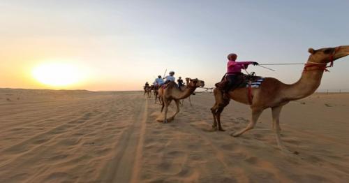 UAE: 33 camel trekkers from 17 countries begin 680km