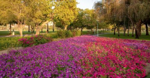 Dubai announces New Year timings for public parks,