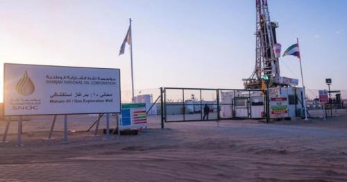 Sharjah approves UAE first bill on natural resources