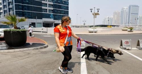 Abu Dhabi residents told to register pets under new service