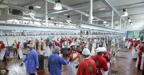 Eid Al Adha in UAE: 11 slaughterhouses ready for Qurbani
