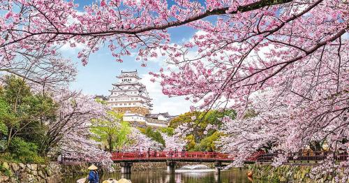 UAE citizens in Japan can extend visa-free stay to 90 days