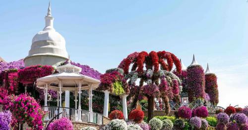 Dubai Miracle Garden announces opening date for Season 14
