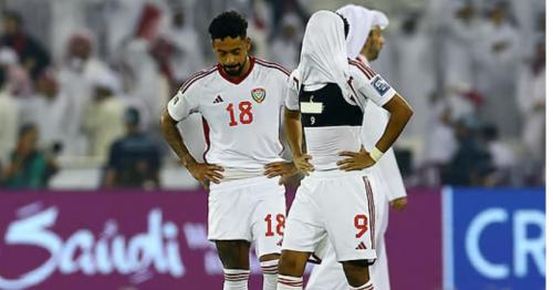 'We shouldn't have lost': UAE fans unite in support despite