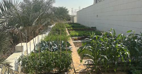 A Garden That Brings Community Together