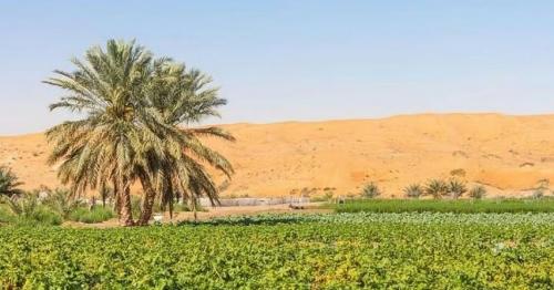 UAE farm stay rental prices nearly double ahead of Eid Al