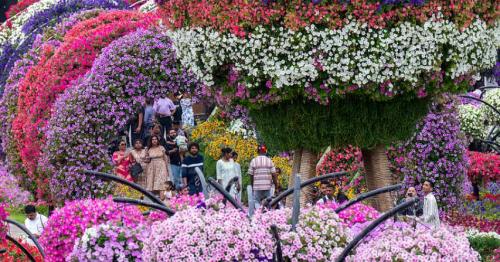 Miracle Garden Wraps Up Season 14 With Massive Ticket Sale