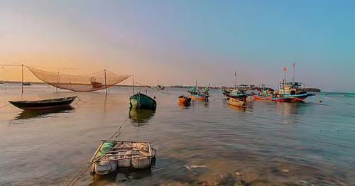Abu Dhabi reminds of ban on fishing, trading of two species