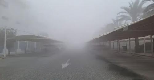 UAE weather: Chances of fog in some areas; high of 25ºC in